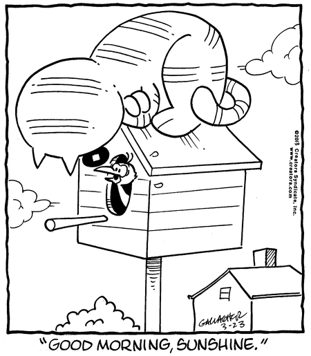 heathcliff